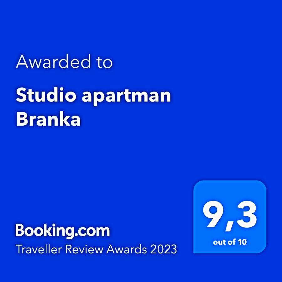 Studio Apartman Branka 라빈 외부 사진